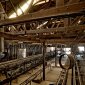 Produce Packing Plant
